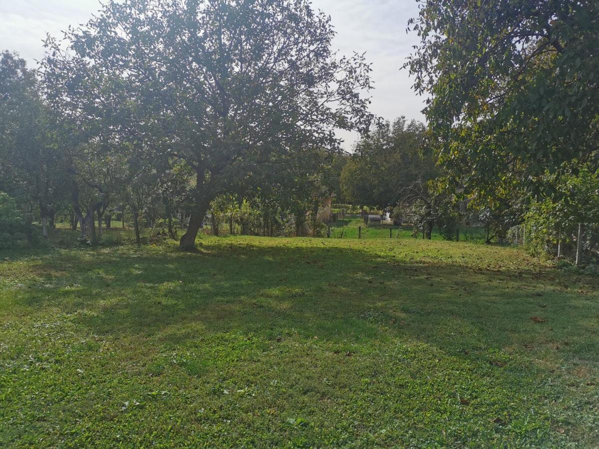 Apartmani La Grande Motte Vrdnik Exteriér fotografie