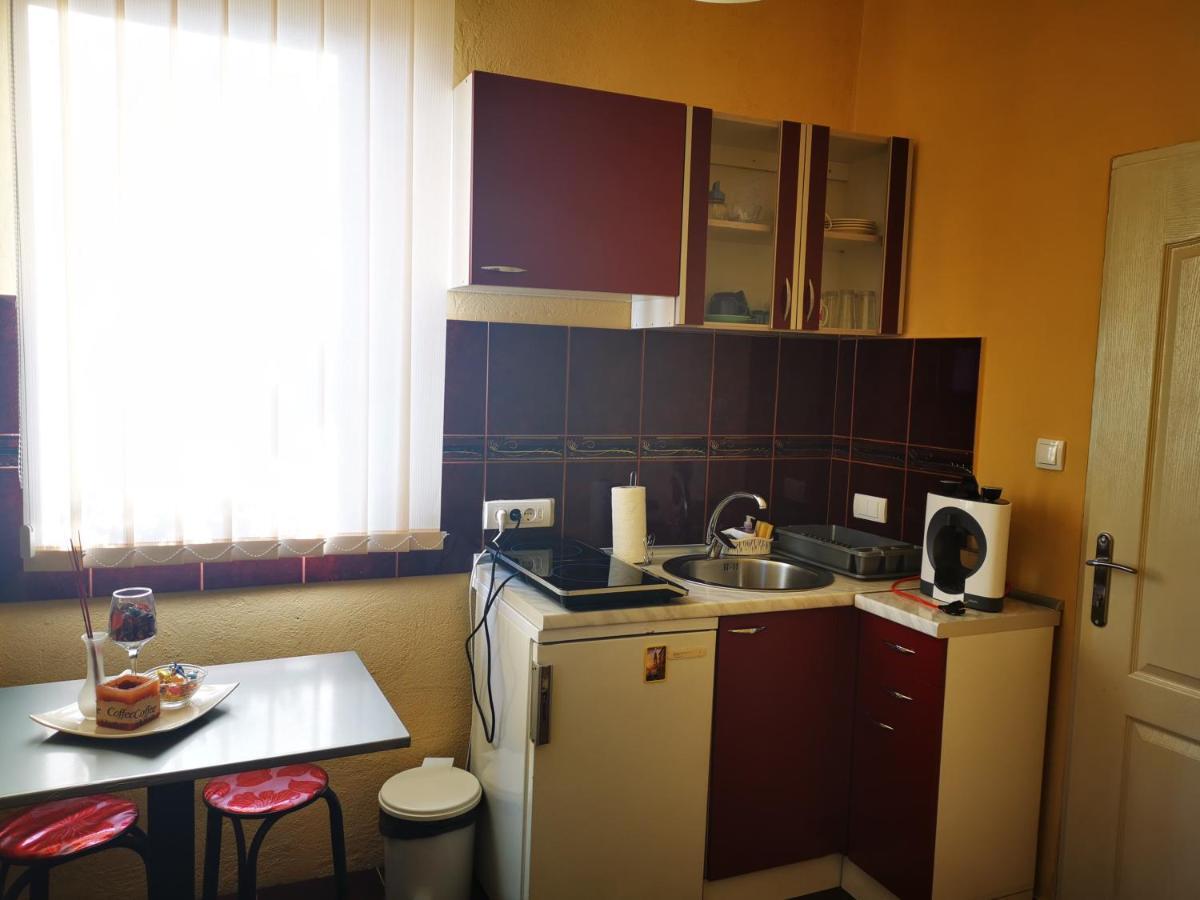 Apartmani La Grande Motte Vrdnik Exteriér fotografie